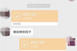 招远为什么选择专业追讨公司来处理您的债务纠纷？